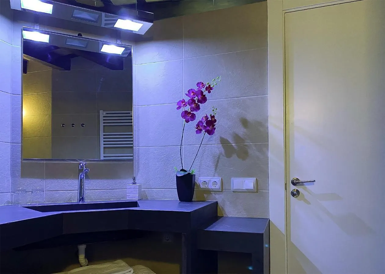 Apartaments Y Habitacions Entre Volcans Olot Apartment