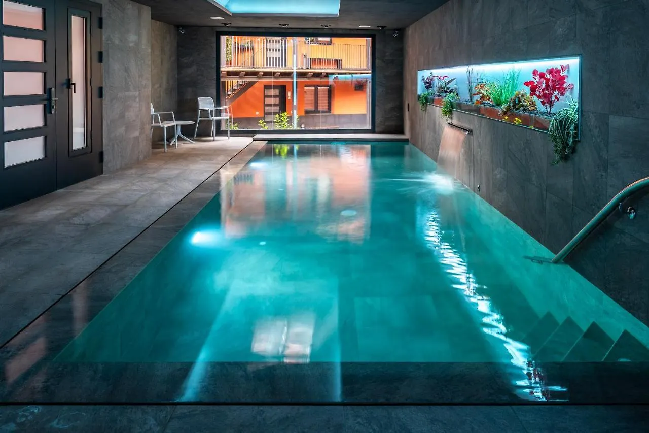 Apartaments Y Habitacions Entre Volcans Olot Apartment