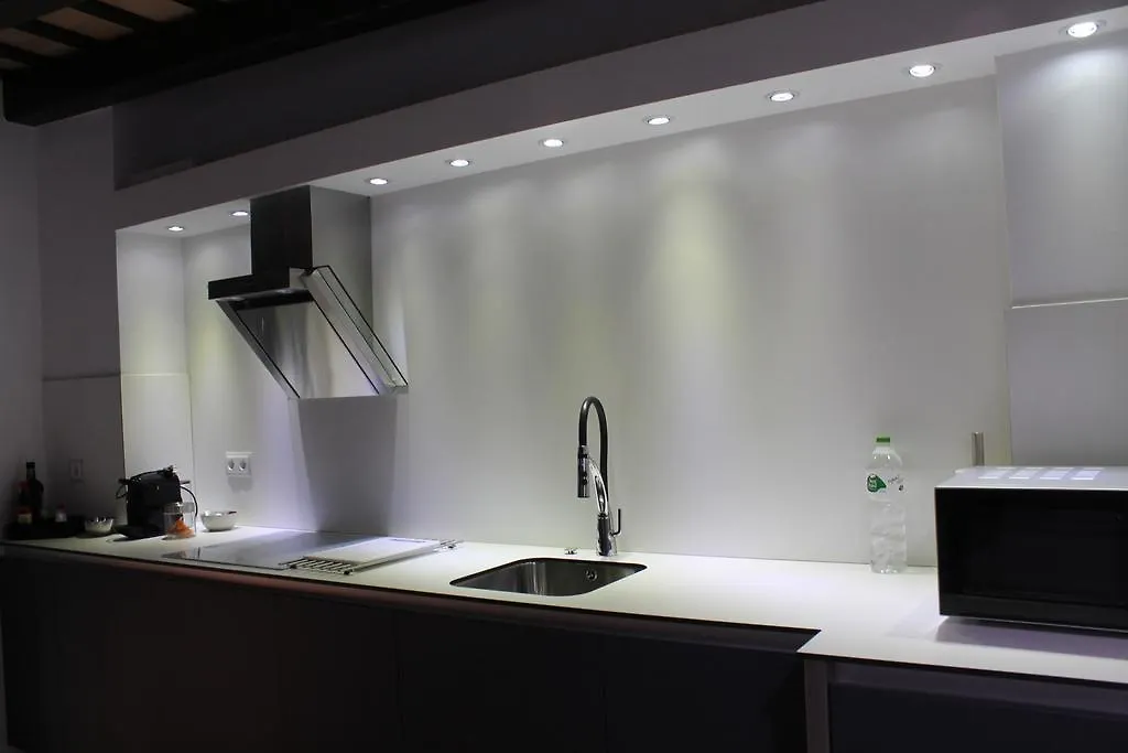 Apartaments Y Habitacions Entre Volcans Olot Apartment
