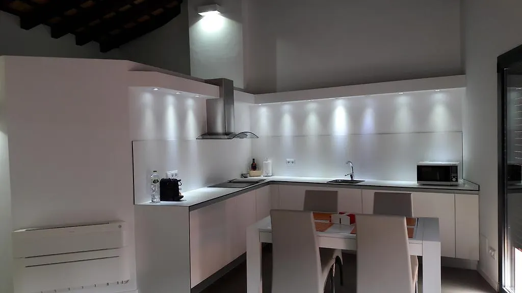 Apartaments Y Habitacions Entre Volcans Olot 0*,